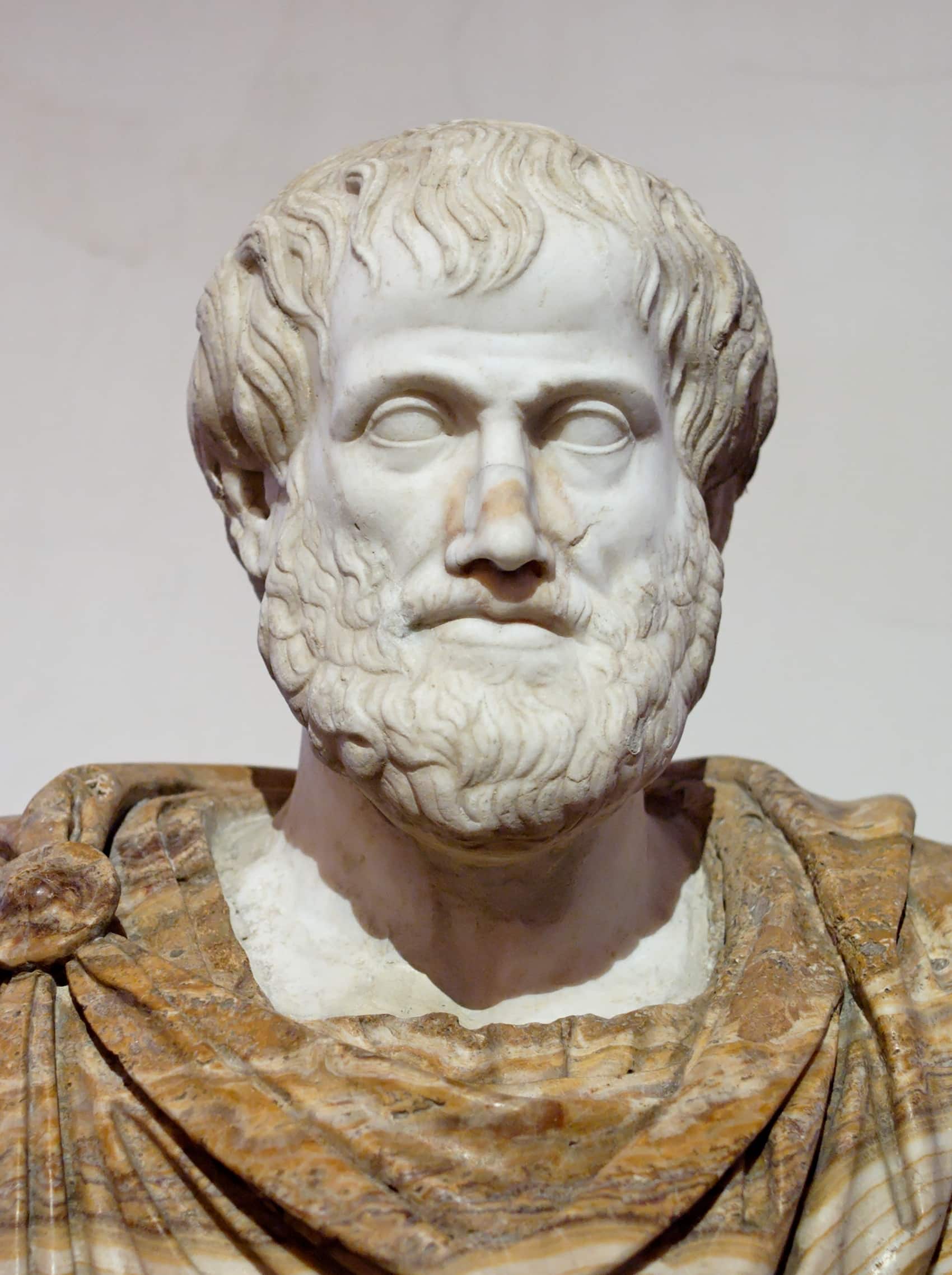 Aristotle: Pioneer of Happiness