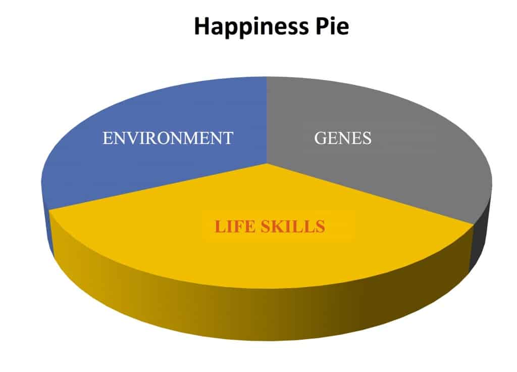 Pie graph of happiness comparing environment genes and life skills